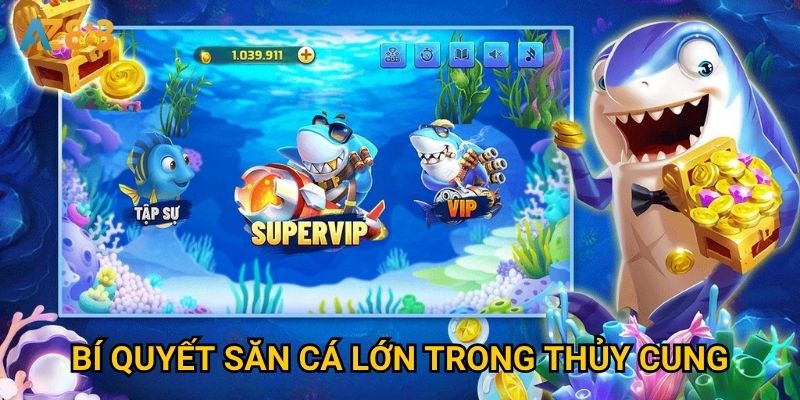 Bí quyết săn cá lớn trong thủy cung